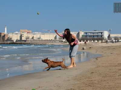 Sulla spiaggia una ragazza gioca con il suo cane 